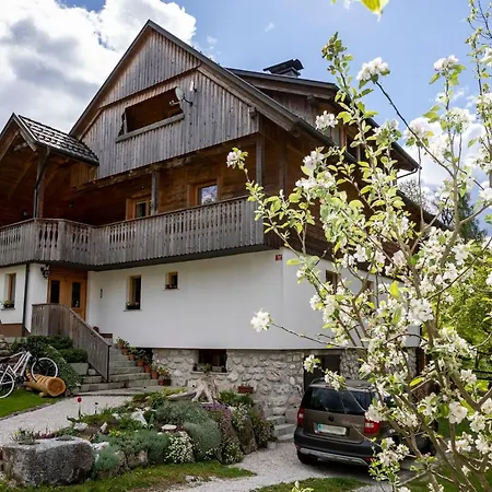 美林公寓 公寓 博希尼