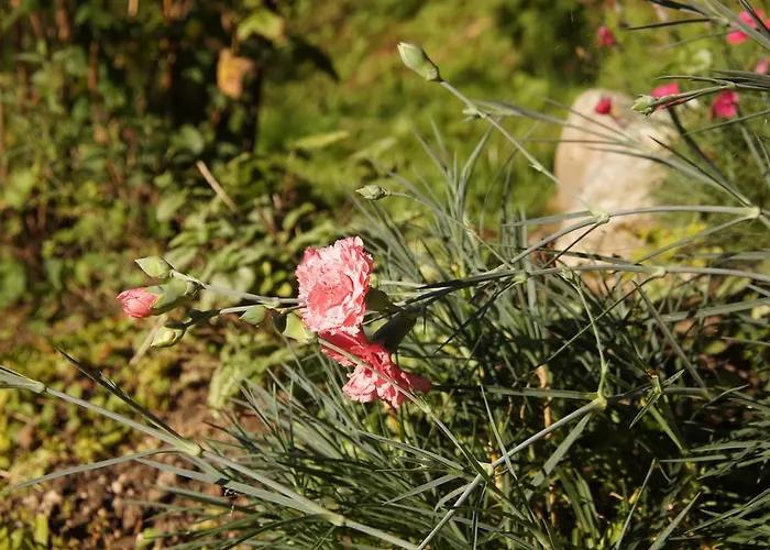Διαμέρισμα Mlin Bohinj