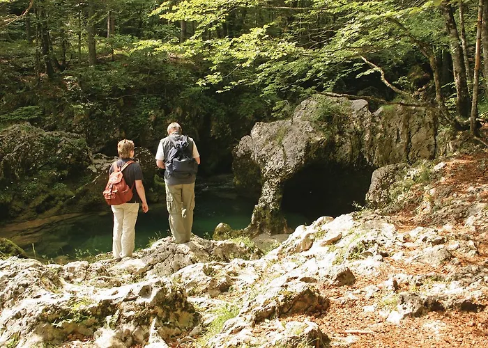 Διαμέρισμα Mlin *