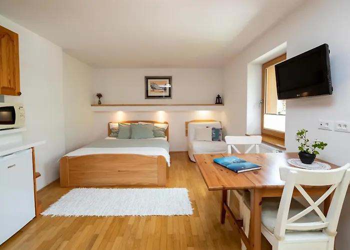 Διαμέρισμα Mlin *